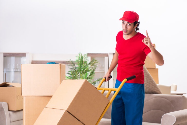 moving company is capable of providing expert moving services